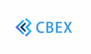 CBEX Crash: Ten times Nigerians lost billions after falling into hands of Ponzi schemes operators