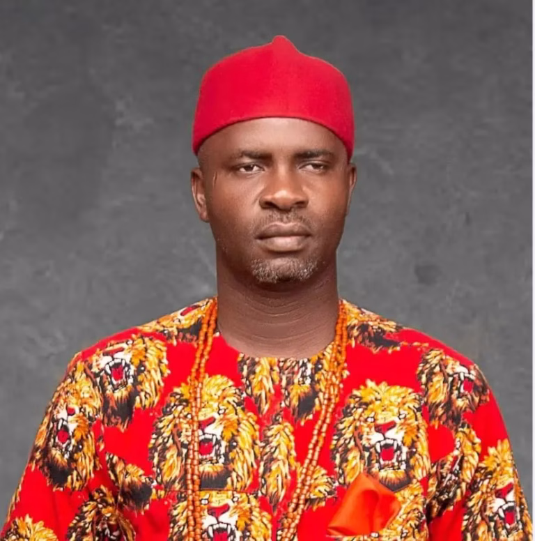 Court affirms Chidiebere Egwu as South-East Zonal Chairman of PDP
