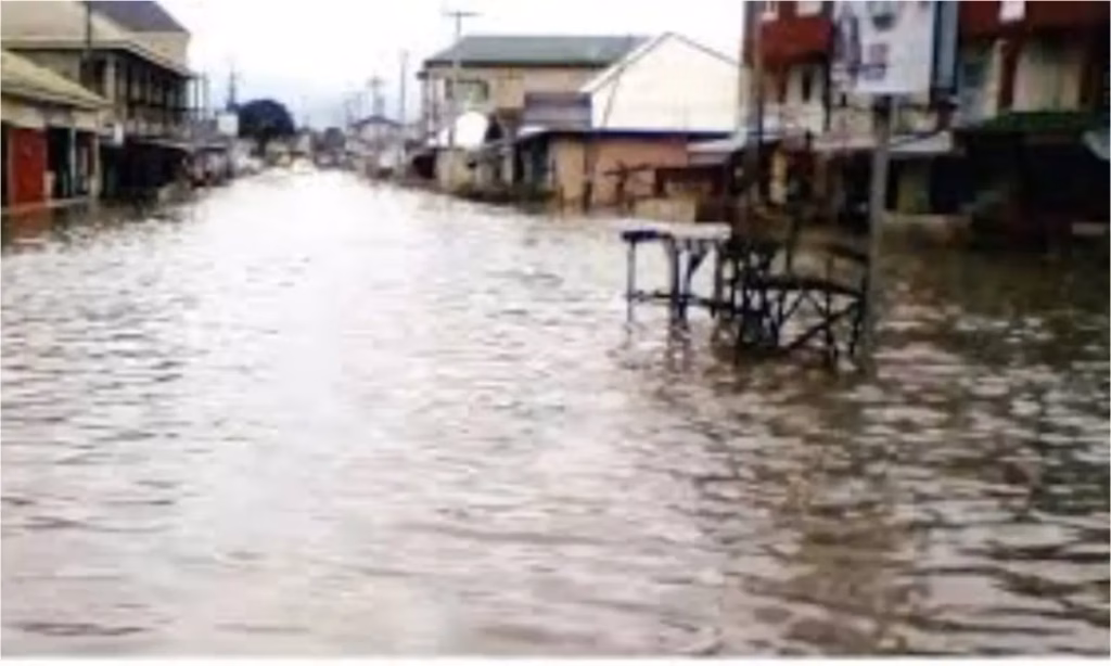 Delta APC, PDP trade blame over Agbor flood disaster
