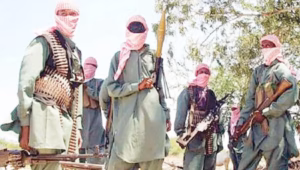 Every Fulani identity now tied to banditry – Shehu Sani
