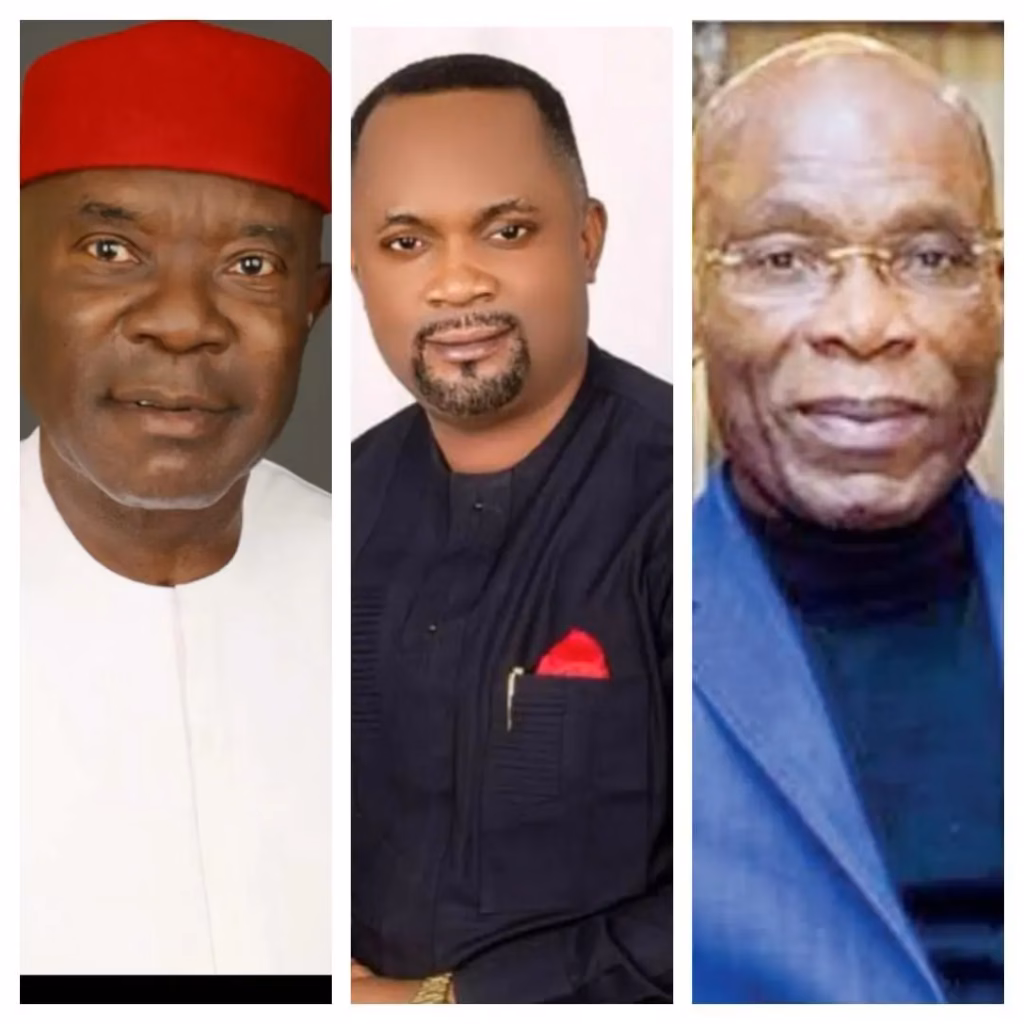 Imo Guber: Owerri must negotiate with Okigwe Zone - Orlu Elders Council Secretary, Prof Uzoma