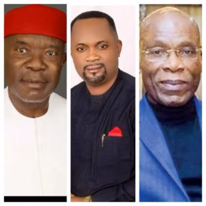 Imo Guber: Owerri must negotiate with Okigwe Zone - Orlu Elders Council Secretary, Prof Uzoma