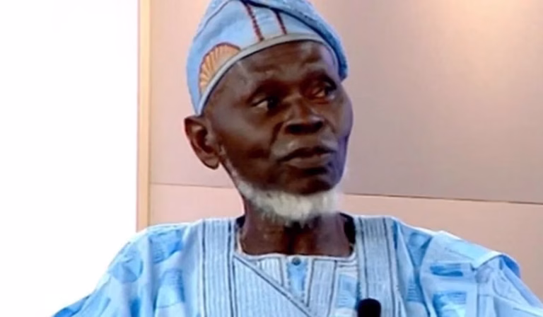 LP constitution positions me as national chairman, I’ll serve for six months - Lamidi Apapa