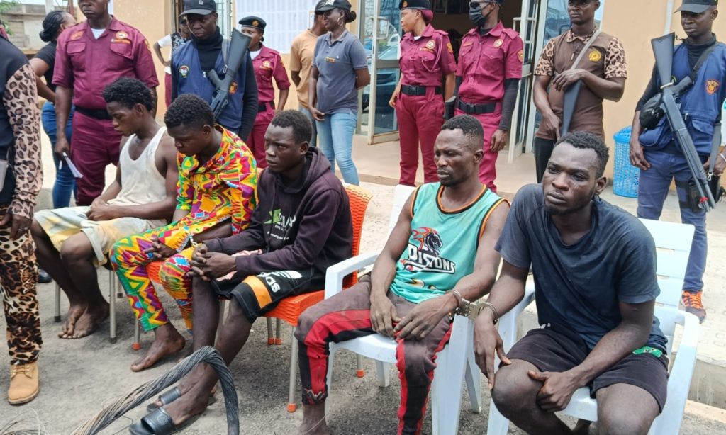 MixCollage 18 Apr 2025 04 05 PM 1270 1024x614