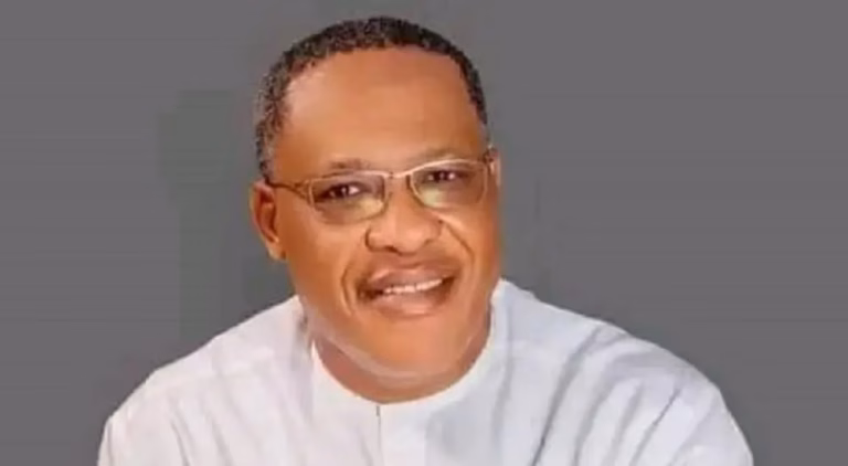 New National Chairman: Labour Party will be strong alternative in Nigeria - Lawmaker, Aguocha