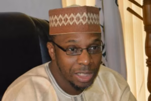 Nigeria needs 40% annual growth to offset U.S. tariff impact – Economist, Kale