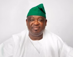 Plateau: Bandits have taken over 64 communities – Gov Mutfwang