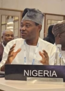 Senator Ibrahim urges world parliament to support defence ministry's budget