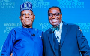 Shettima, AfDB President arrive Calabar for new export processing zone groundbreaking