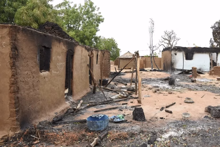 Stop Plateau killings now - ACF tells Nigerian govt