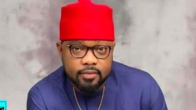 Two more PDP Govs, 40 lawmakers will soon defect - Ugochinyere warns part leaders