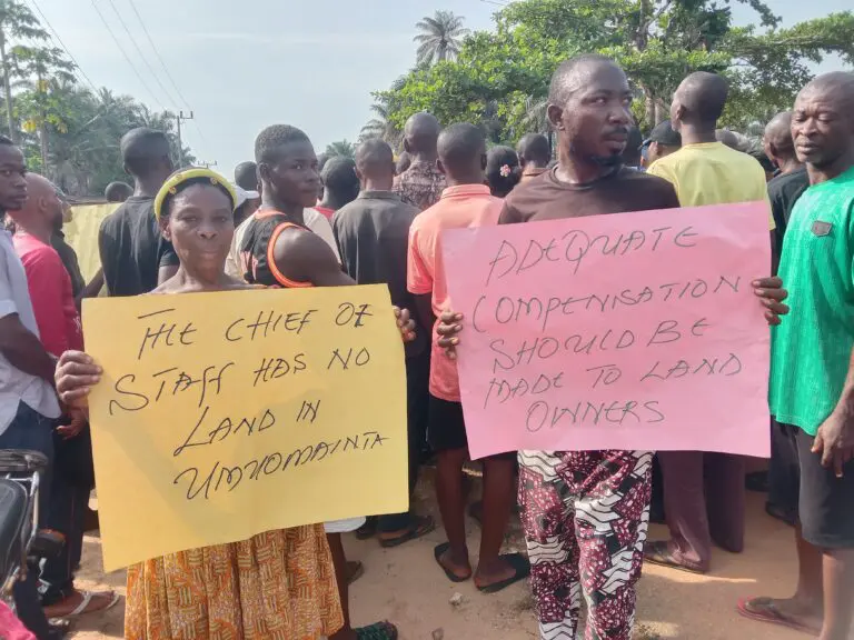 IMG 20250409 085709 768x576 1