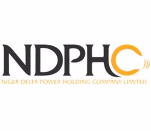 2,000MW electricity generation capacity stranded due to N600bn debt - NDPHC