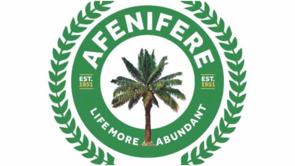 Lagos LG poll: Afenifere calls for violence-free election