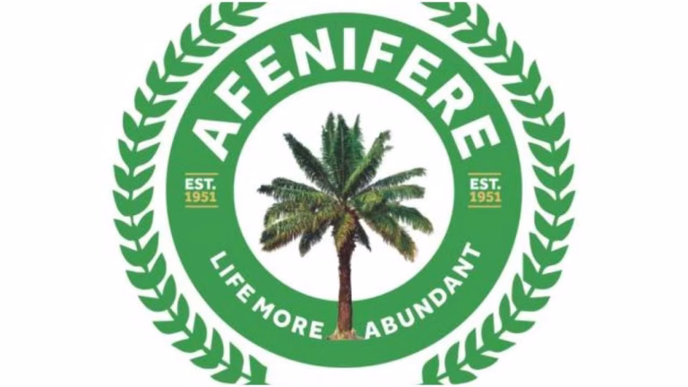 Lagos LG poll: Afenifere calls for violence-free election