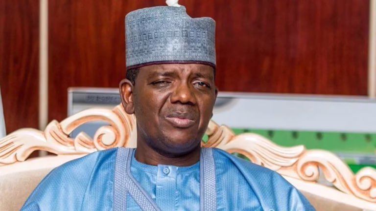 Anti-Matawalle protests sponsored by Zamfara Govt - APC group