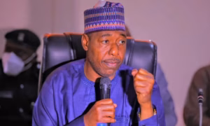 Insurgents using technology to fight, Nigerian military lacks equipment - Zulum