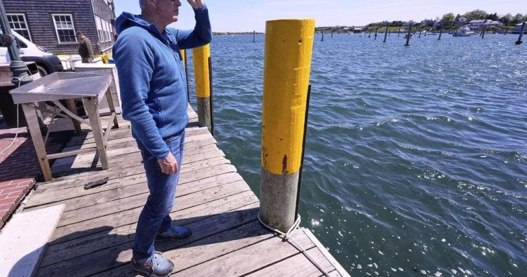 Endurance athlete marks 'Jaws' anniversary with swim to change shark narrative