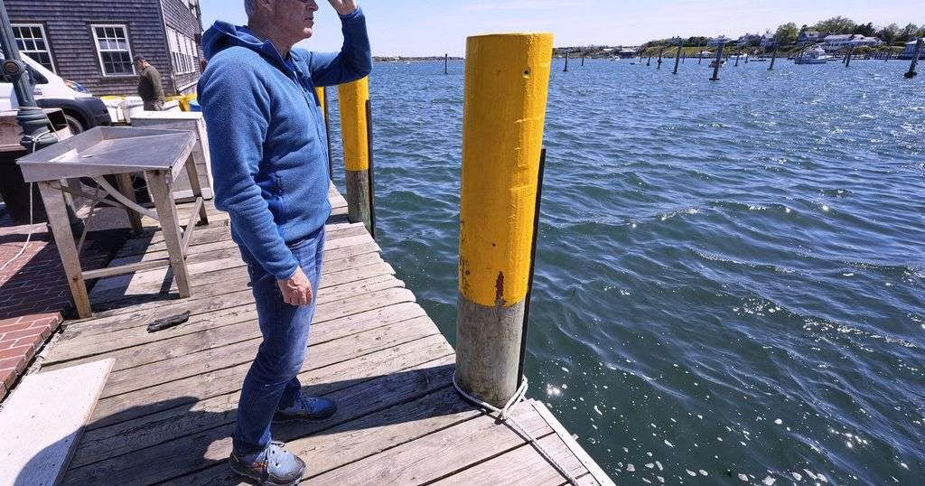 Endurance athlete marks 'Jaws' anniversary with swim to change shark narrative