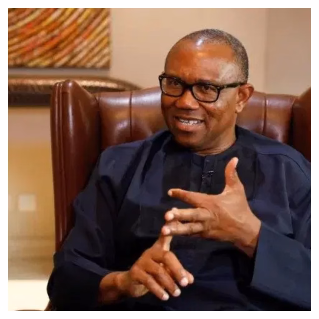Coalition: I will continue to run for President under Labour Party - Peter Obi declares