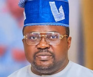 Coercing Nigerians to vote during elections unconstitutional - NNPP chieftain