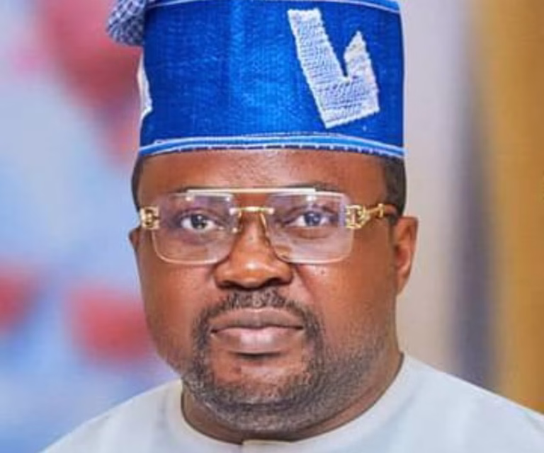Coercing Nigerians to vote during elections unconstitutional - NNPP chieftain