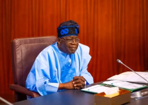 Focus on people's anger, not coalition ahead of 2027 - Adebayo tells Tinubu