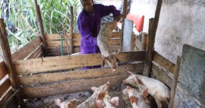 They once lived the 'gangster life.' Now they tackle food insecurity in Kenya's slums