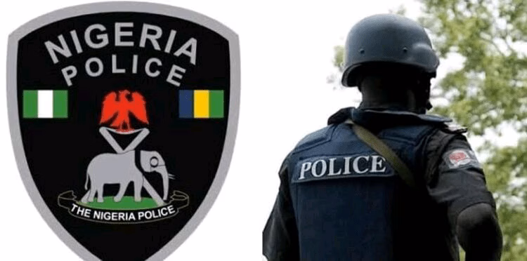Police nab 27-yr-old suspect contracted to fight in Plateau — Daily Nigerian