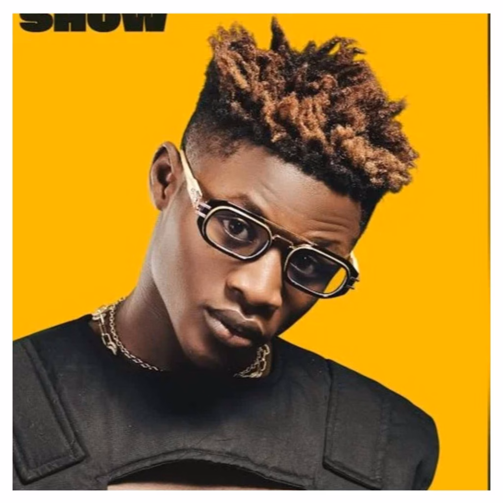 I fell into depression after buzz around my song, 'Ramadan' faded - Tolibian