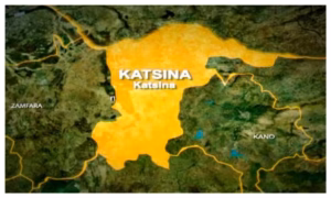 Insecurity still threatens 26 LGAs in Katsina - Radda