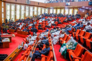 Lack of tenure for lawmakers ‘killing’ effective legislation, accountability, increasing corruption - Analysts