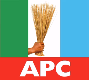 Lagos LG poll: Tension in Yaba APC as stakeholders call for fresh primary