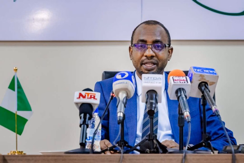 Why 56% of public sector IT projects failed — NITDA — Daily Nigerian