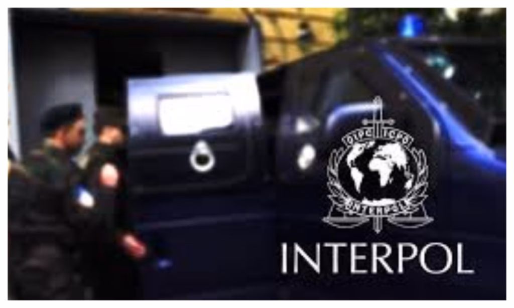Criminals on INTERPOL red list arrested in Nigeria - FG reveals