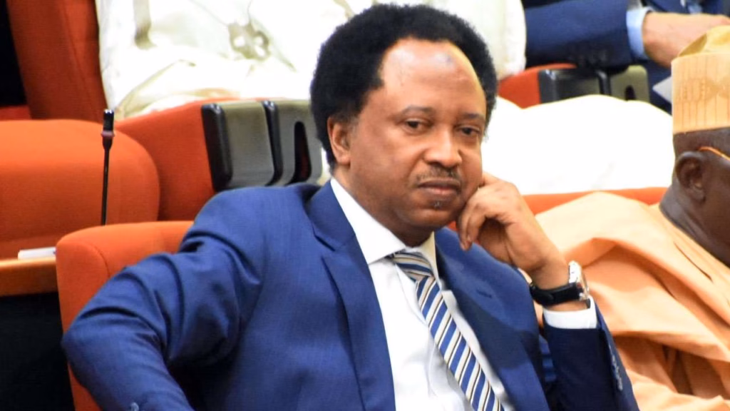 Opposition disunity a gift to Tinubu’s re-election in 2027 - Shehu Sani