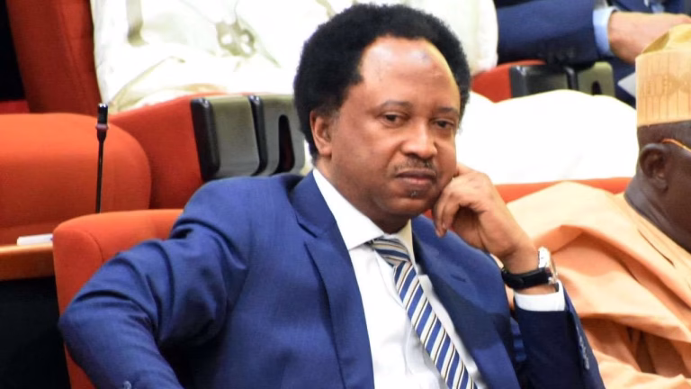 Opposition disunity a gift to Tinubu’s re-election in 2027 - Shehu Sani