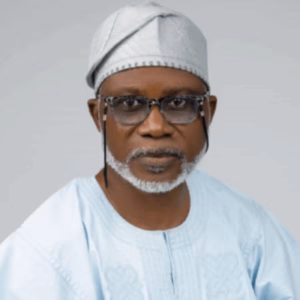 PDP staff dump Anyanwu, back Govs, NWC's appointment of Koshoedo as acting secretary