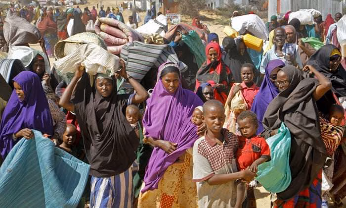50m people in West, Central Africa at risk of hunger -- WFP — Daily Nigerian