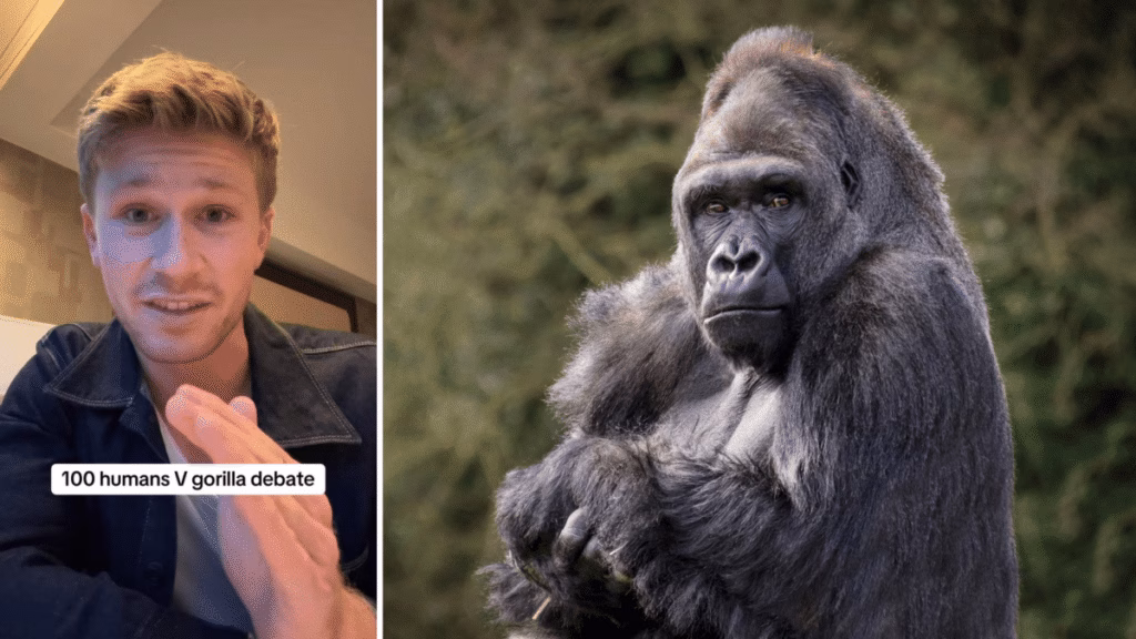 Robert Irwin weighed in on the 100 men vs one gorilla debate