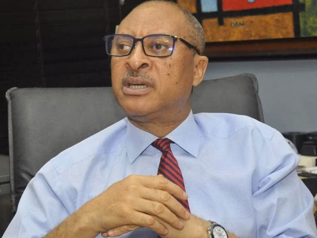 'Scrutiny frightens them’ - Utomi slams APC administration