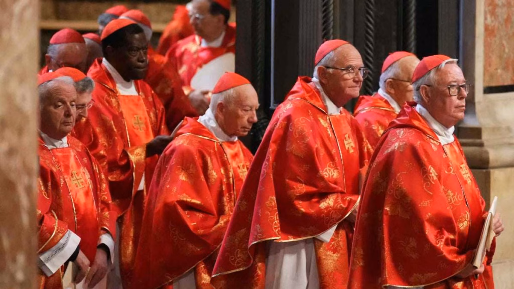 Cardinals, conclaves, and canon law take over the internet