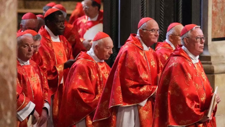 Cardinals, conclaves, and canon law take over the internet