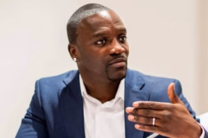 Why Elon Musk Fights For White South Africans US 300x200