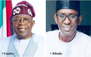 Adamawa APC stakeholders endorse Tinubu, Ribadu — Daily Nigerian