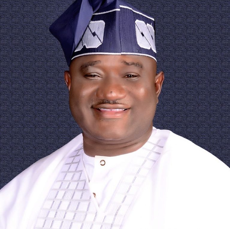 Benue: Agatu LG Chairman bans logging amid rising insecurity
