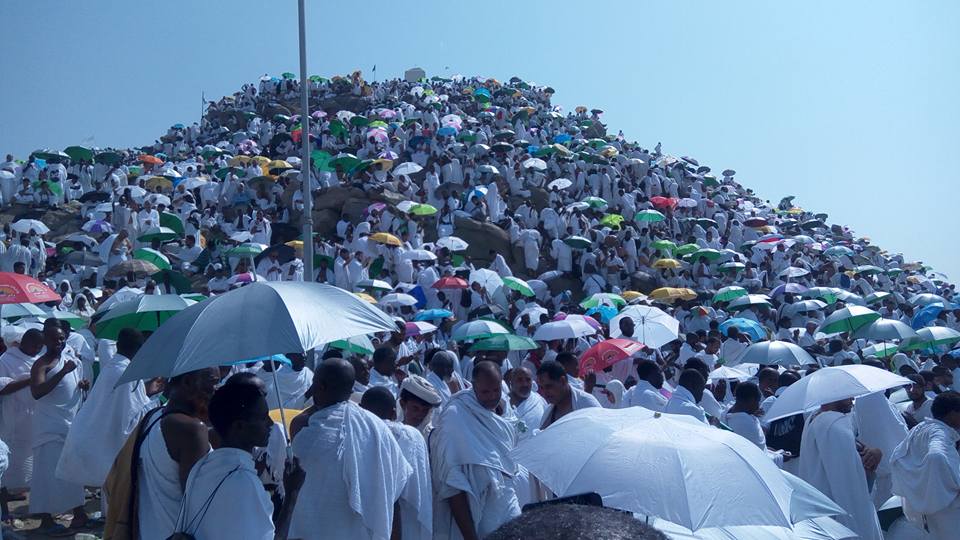 Pilgrims converge on Mount Arafat for day-long worship — Daily Nigerian