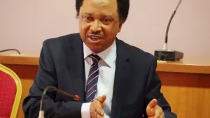 Atiku, El-Rufai, Amaechi, others frustrated over exclusion – Shehu Sani