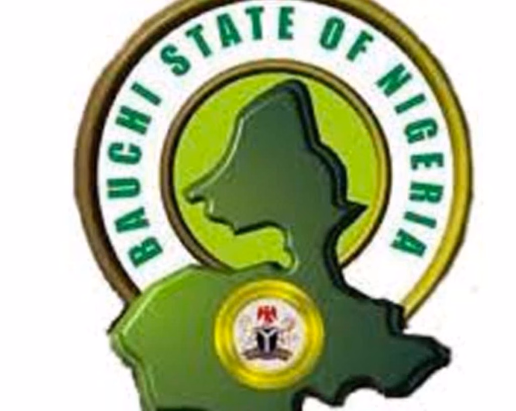 Insecurity: Bauchi Govt bans farming, grazing around airport