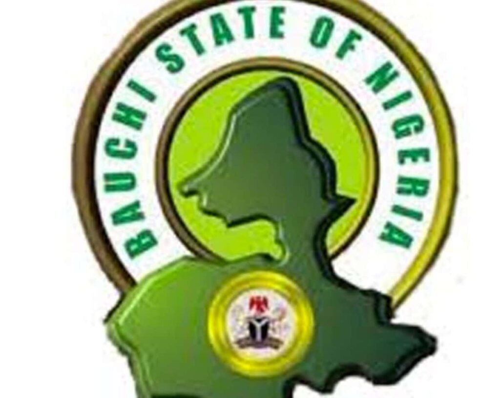 Insecurity: Bauchi Govt bans farming, grazing around airport